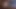 Devin Daray macht einen Hausbesuch nach weißem Schwanz