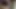 Hot wife sucks everything out of my cock. I explode in his mouth. Close up.