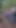 Spectacular moment from "Sexywifedd pissing and creampied in the bush"