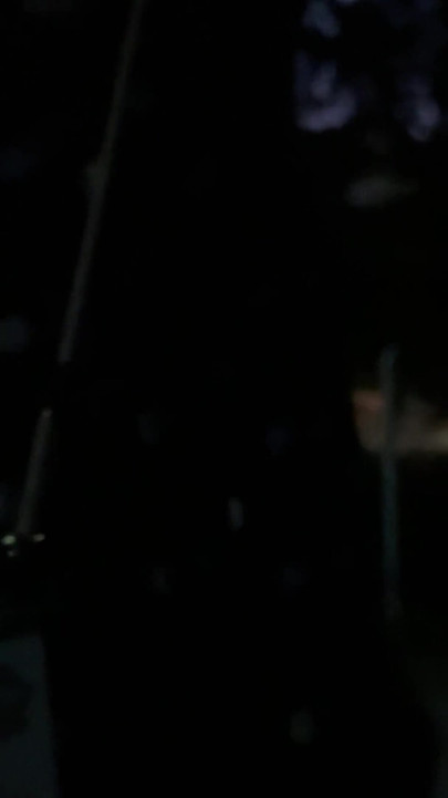 Blonde Slut Hooked up on the Party Mile and Fucked