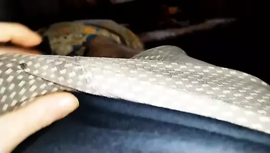 cocks