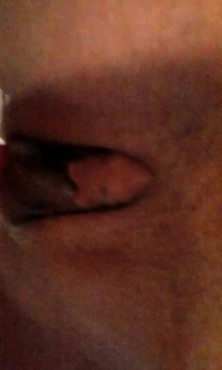 seksi ocak alanları