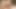 Göt, amcık, binmeye hazır delikler ve domaltarak sikiş masajı. Sarışın orta yaşlı seksi kadın sikişim için götünü dışarı çıkarıyor