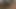 Dik kız öğrenci ormanda Mastürbasyon yaparken yakalandı