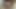 Vacation in Exchange for a Blowjob