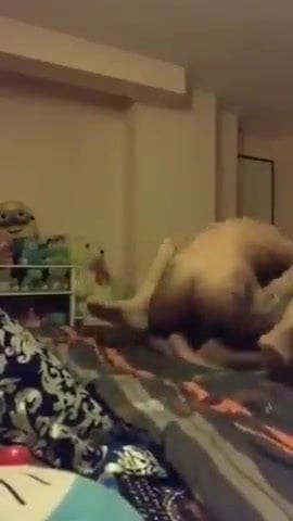 Horny Amateur Slut 312
