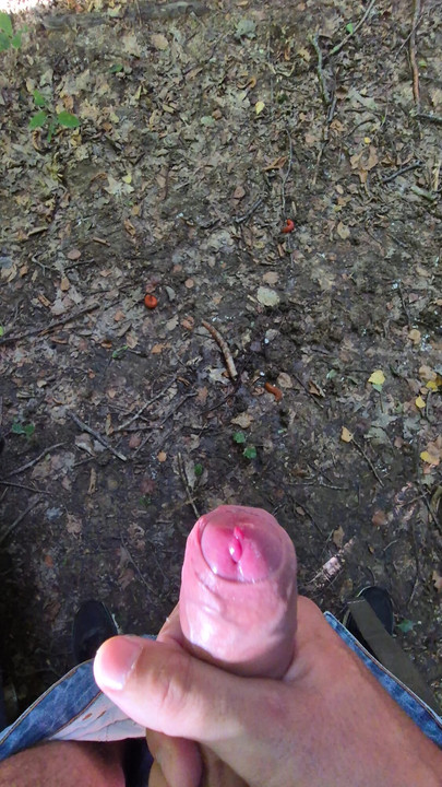 Ejakulacija u šumi