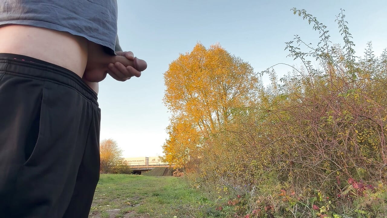 Jerking off next to the highway