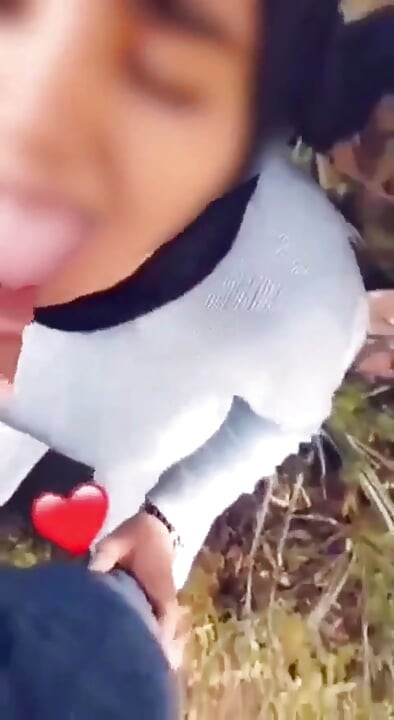 パイプ・アラブ