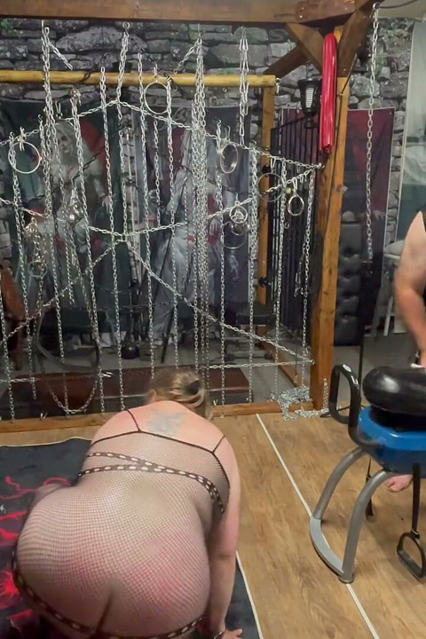 Part 2- Lanista Bear Tests a New Machine Out on Kitty!