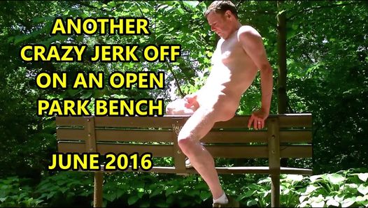オープンパークベンチでの別のクレイジージャークオフ2016年6月