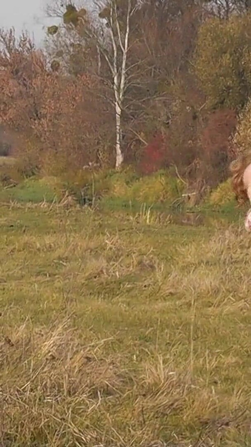 Naked in public. Outdoors sexy woman Milf without panties and bra playing sports Outside. Natural tits Milf. Hairy pussy | Clip 1