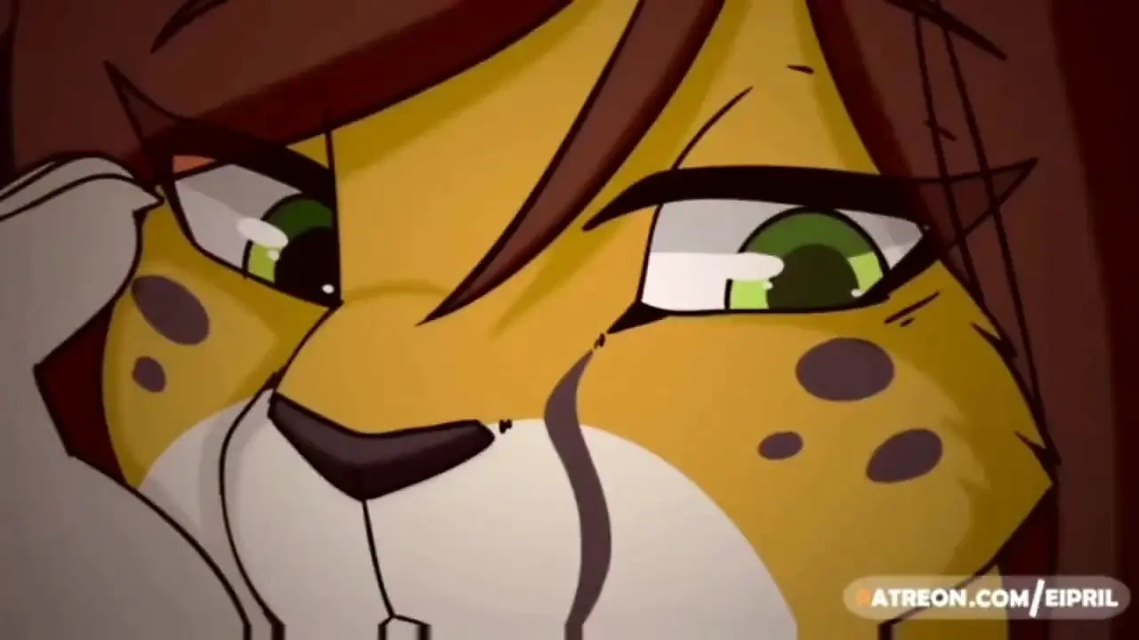 FUR Fun 最好的场景 Cmpelation