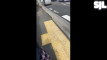 Pratonton Video