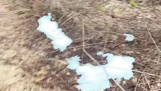 Cewek seksi ini lagi asik kencing di hutan!