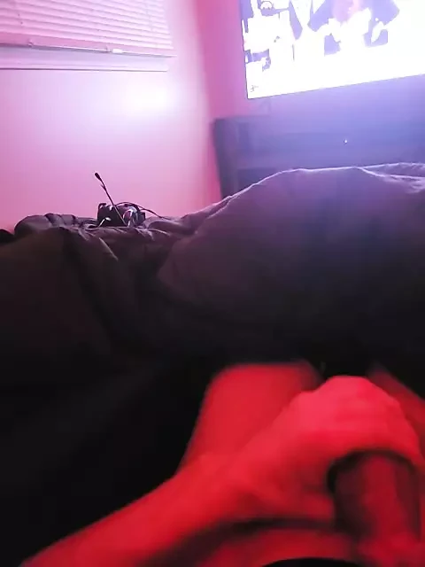 Young stud cock