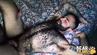 BearFilms волосатые медведи Russell Tyler и Atlas Grant без презерватива