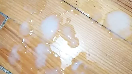 kedi istiyorum