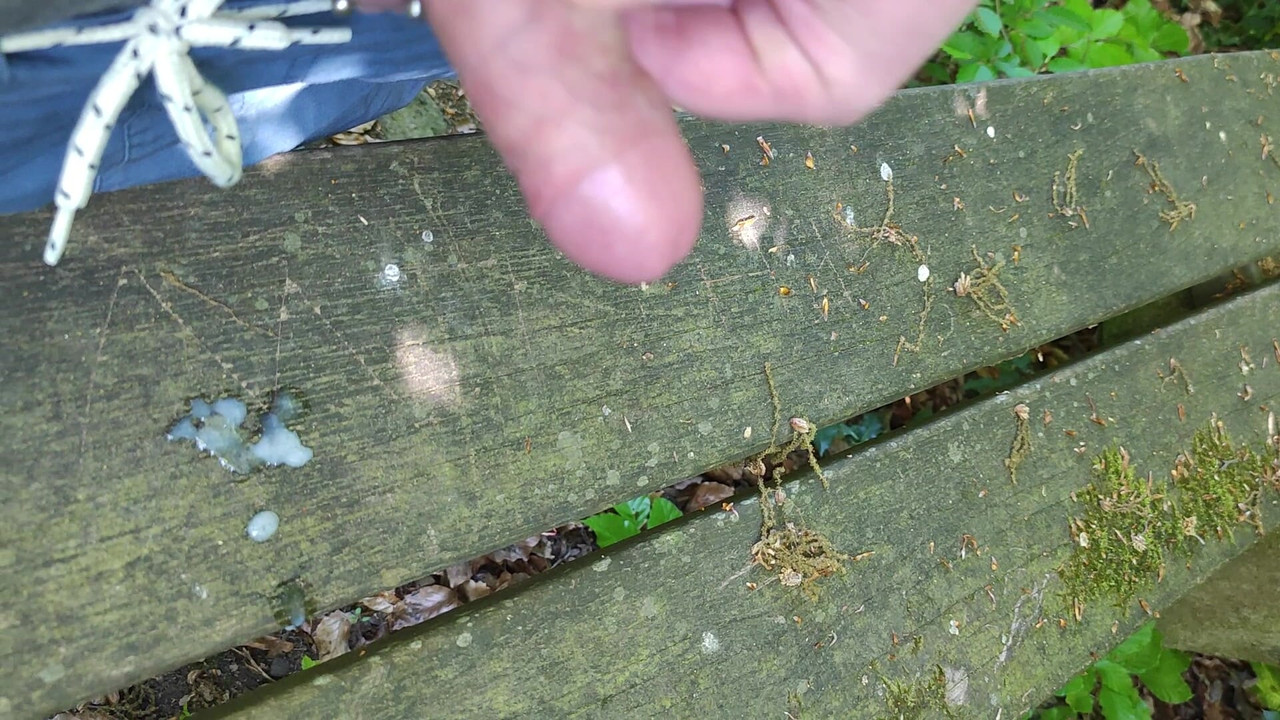 在公园的长凳上潮吹