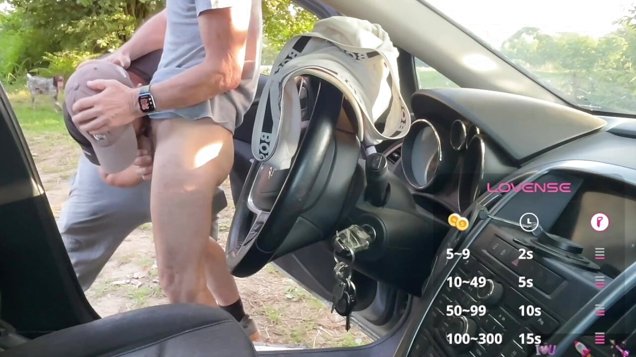 Another Summer Car Adventure