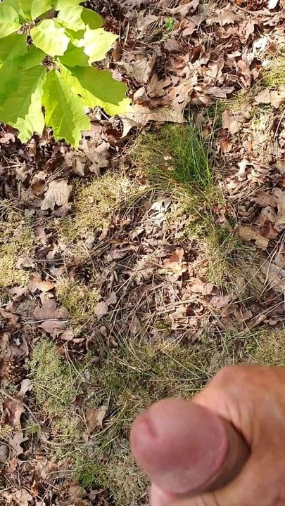 cumshot again in the woods