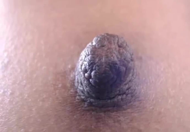 long hard big nipples