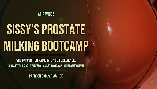 Sissys prostata melkt bootcamp