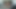 猫で支払う