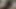 Tribute from cfan2 jacking to my dick video