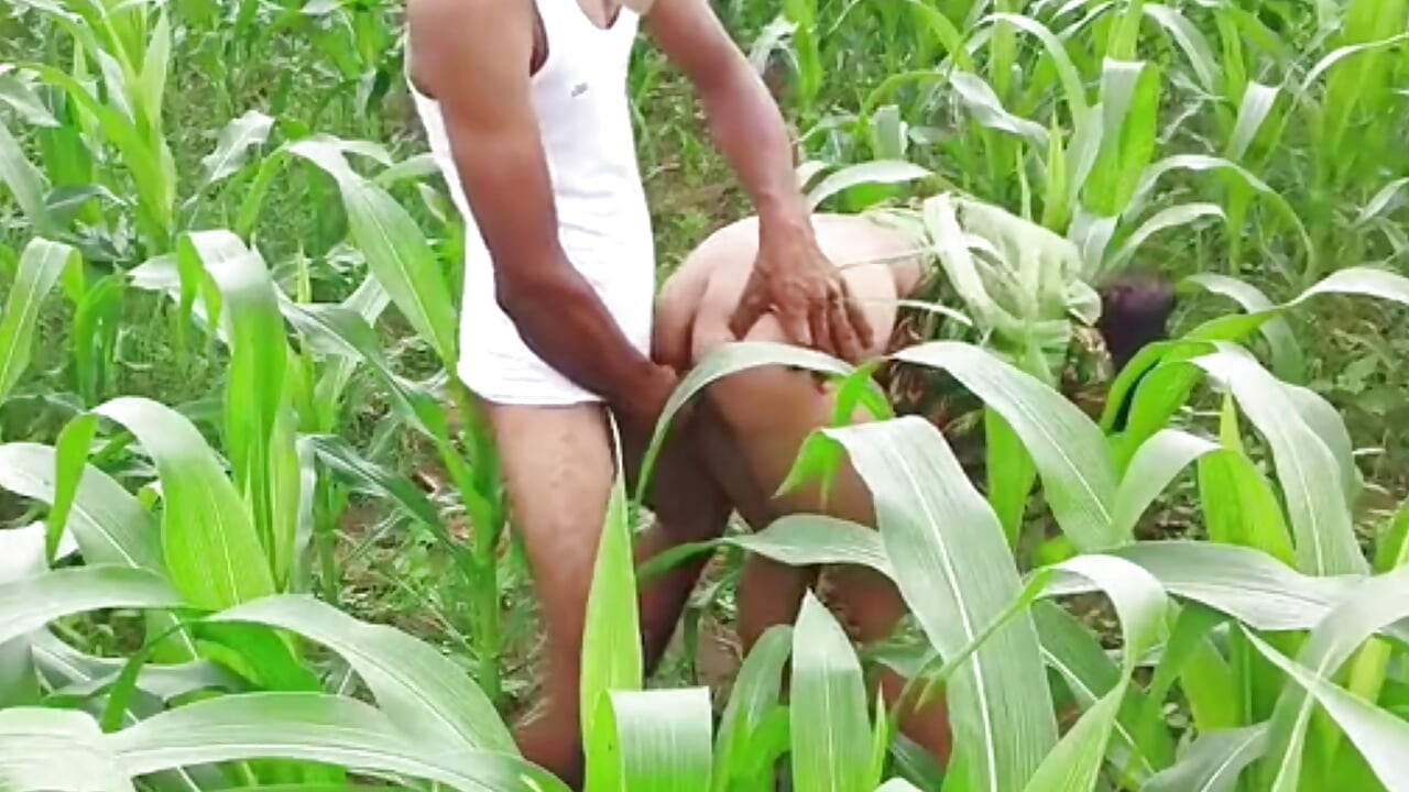Musim 124. Amisha bhabhi ngentot di hutan sama petani