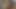 Tombul hatunlar büyük yarağı emiyor ve vahşi bir üçlü seks yolculuğu filmi için biniyor