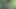 Whore&#039;s FanTasme. 🔶CAM⁴ in the Forest of Brunoy91 [³June²⁵] CuMSLuT in search of Sperm offerings in VaneSsaBiTCHx