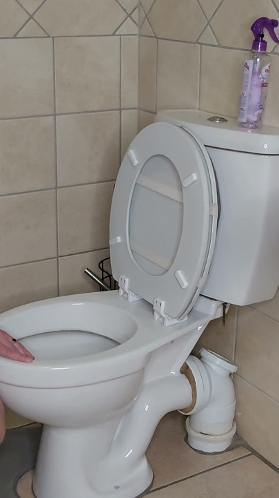 İri güzel kadın umumi tuvaleti nasıl yalamanız için talimat ediyor, döl geri sayım | Klip 2