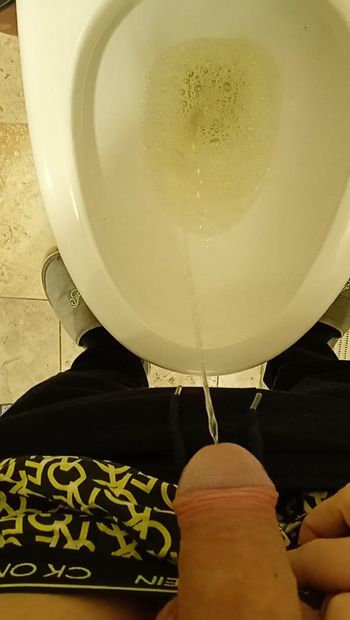 German public toilet piss #13