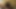 Legendary Beauty Appears in a Swimsuit, a Daring Challenge Leads to an Unforgettable First-time Moment
