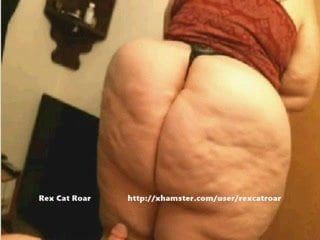 Wcg: 거대한 엉덩이! 일명 렉스 고양이 포효