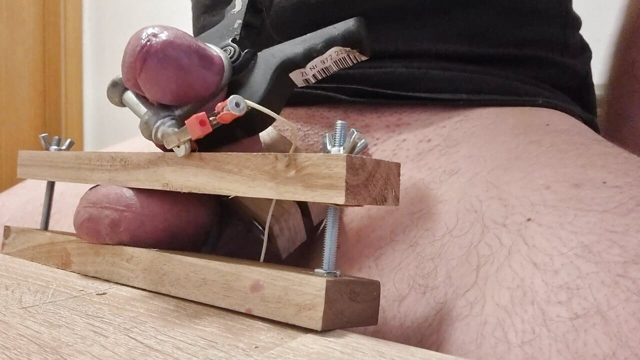 Električna mučenja