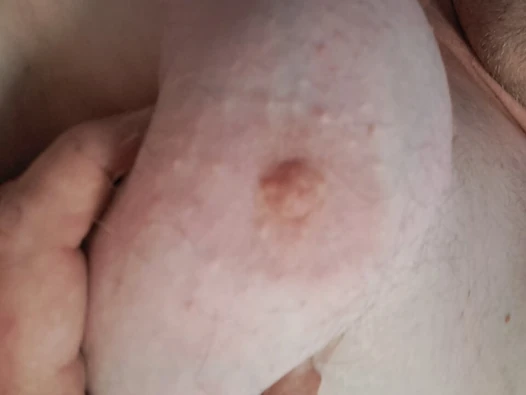 Titten Quickie