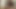 Seksi öğrenci sınava hazırlanırken kedi yalıyor