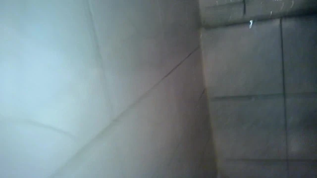paja en el bano