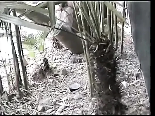 Young asian chick takes huge cock in her mouth