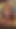 Trans latin transeksüel oral seks - onlyfans: tskyliestar