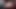 GIF ROSEBUD ANAL