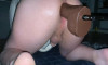 Pregled videozapisa