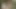 Lovely Redhead Whore Loves to Be Fucked by Her Favurite Dick in the Forest