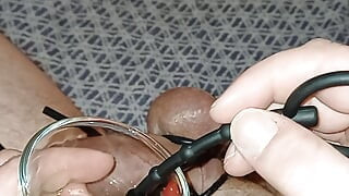 Constricting eggs and extreme insertion into urethra