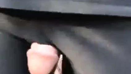 kamu horoz oyun