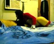 doggy