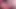 PinkViki video