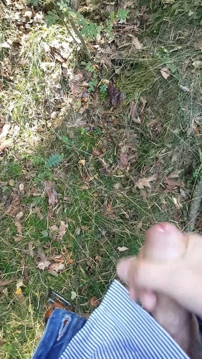 In the woods